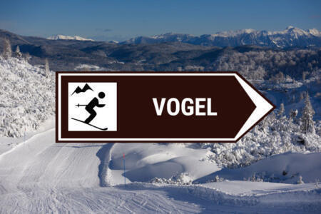 camera skier Vogel