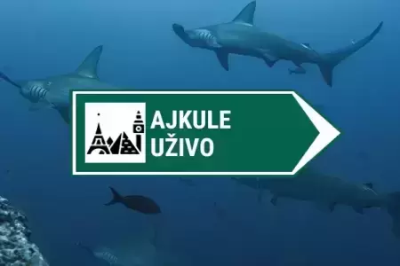 kamera ajkule uzivo