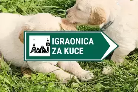 kamera u igraonici za male kuce