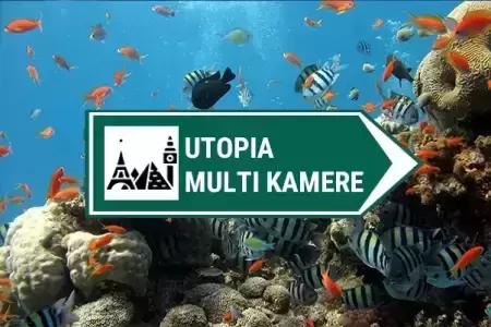 utopia multi kamere ispod vode